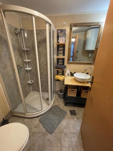 a bathroom with a shower and a toilet and a sink at Villa Noa jacuzzi & sauna in Izola