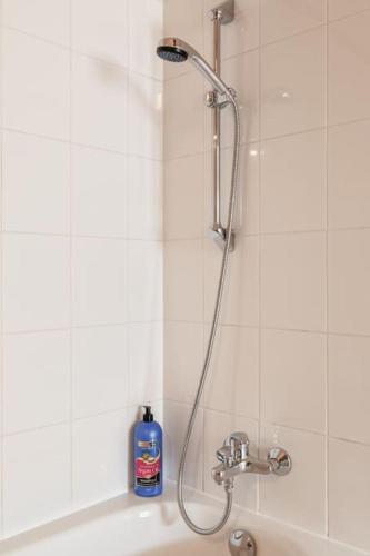 Dry Flower Apartment - 2 Bedrooms - Gym - Parking - Rooftop - New