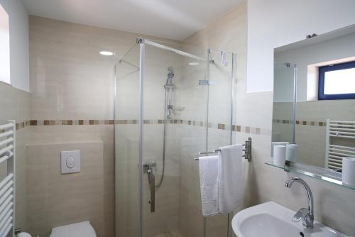 a bathroom with a shower and a toilet and a sink at PRIVET in Jurilovca