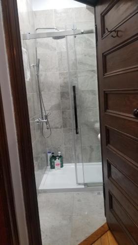 a shower with a glass door in a bathroom at Tina's gem in Ottawa