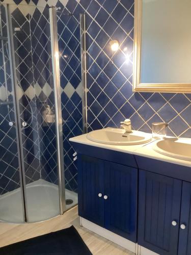 ein blaues Bad mit einem Waschbecken und einer Dusche in der Unterkunft Gîte de la vallée in Volnay