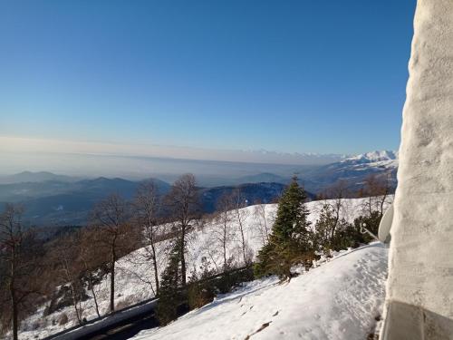 a view of a snow covered hill with trees on it at Appartamento Oasi Zegna in Bielmonte