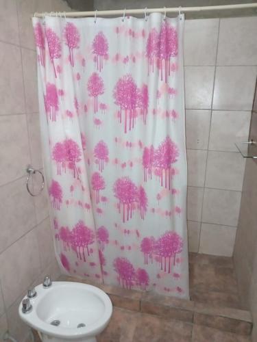 ein Duschvorhang in einem Badezimmer mit Toilette in der Unterkunft LuSil in El Nihuil