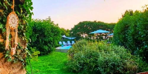 um jardim com piscina e guarda-sóis em Cardabelle Holiday Home with private garden em Mazières