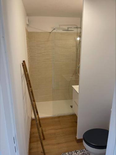 une salle de bain avec toilettes et douche en verre dans l'établissement Tres jolie studio au golf de Seilh, à Seilh