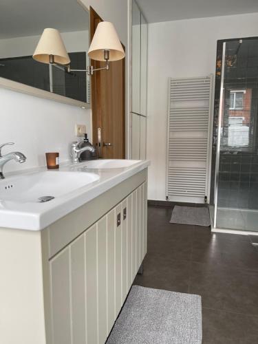 a bathroom with a sink and a shower at Grote vakantiewoning nabij Brugge! in Damme
