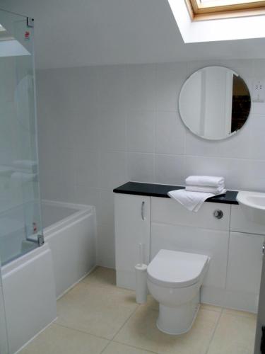 a bathroom with a toilet and a sink and a mirror at Rats Retreat at Tove Valley Cottages in Towcester