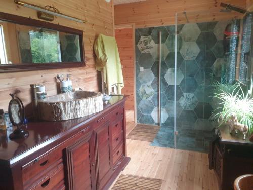 une salle de bain avec un lavabo et une douche dans l'établissement Ranch, à La Haye-dʼEctot