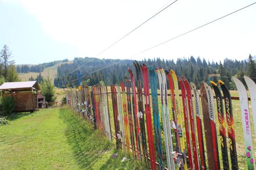 Naturlandschaft in der Nähe des Hotels
