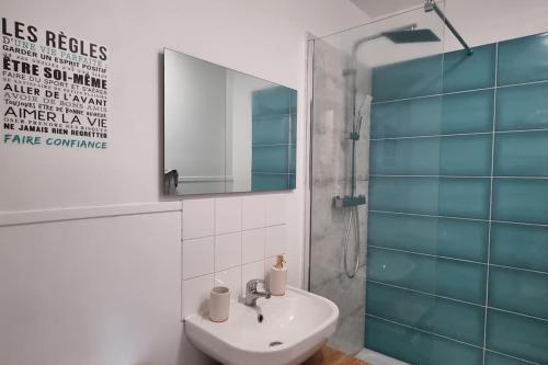 a bathroom with a sink and a mirror and a shower at Appartement Cosy le Bonduelle 2 in Anzin