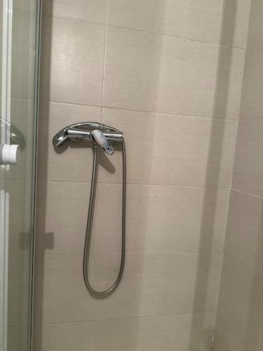 eine Dusche mit Duschkopf im Bad in der Unterkunft 2 Zimmer Wohnung mit Garten und Terrasse in Bad Hersfeld