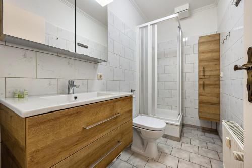 a bathroom with a sink and a toilet and a shower at Storchenzimmer 2 in Buchholz