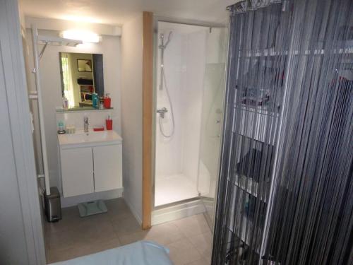 a bathroom with a shower and a sink at Appartement d'une chambre avec jacuzzi terrasse et wifi a Latresne in Latresne