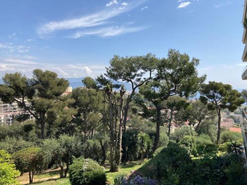 Nice Sea View Apartment Pool Terrace AC 1 bedroom photo 7