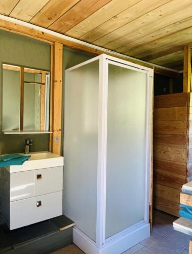 une salle de bain avec douche et lavabo dans l'établissement Cabane, à Olivese