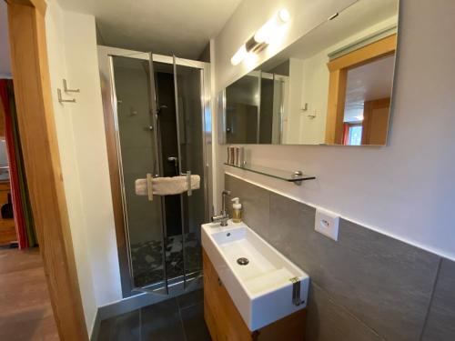 a bathroom with a sink and a shower at La Clé des Champs in Hérémence