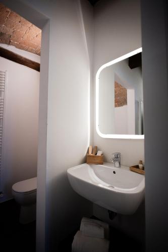 a bathroom with a sink and a mirror and a toilet at La Cascina del Balsamico in Gaggio