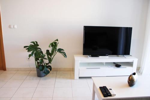 Apartment with terrace Albufeira Olhos de Água