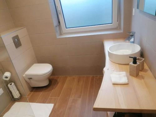 a bathroom with a sink and a toilet and a window at La Perle d'Alsace in Bernardswiller