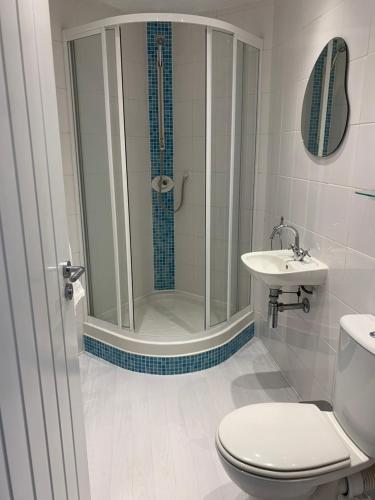 a bathroom with a shower and a toilet and a sink at Coronation Place, Durham in Langley Park