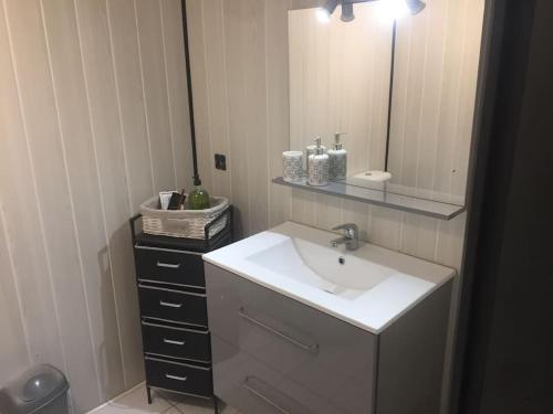 une salle de bain avec un lavabo et un miroir dans l'établissement Très jolie appartement, à Aiguilhe