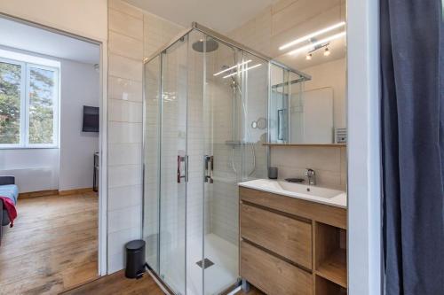 une salle de bain avec douche et lavabo dans l'établissement Repaire du Bagnérais, à Bagnères-de-Bigorre