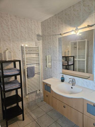 La salle de bains est pourvue d'un lavabo et d'un miroir. dans l'établissement Maison Gradina - Séjour à Annecy entre lac et montagne, à Metz-Tessy