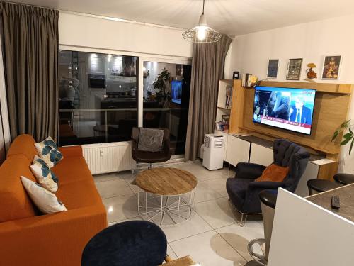 a living room with a couch and chairs and a tv at Liège centre 13 Quai Godefroid Kurth POUR 2 PERS à 25 min gare Guillemins in Liège