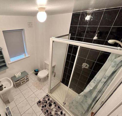 La salle de bains est pourvue d'une douche et de toilettes. dans l'établissement Fertha View, à Cahersiveen