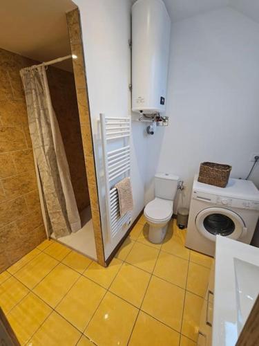 a small bathroom with a toilet and a shower at La petite bulle in Villeneuve-sur-Yonne