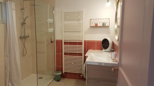 ein Bad mit einer Dusche und einem Waschbecken in der Unterkunft Le Pti Clos 