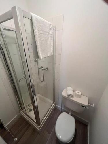 La salle de bains est pourvue d'une douche, de toilettes et d'un lavabo. dans l'établissement Cosy 1 bed in C.London, à Londres