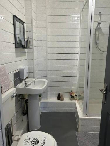uma casa de banho com um WC, um lavatório e um chuveiro em Cozy Downtown Studio Flat in Sheffield em Sheffield