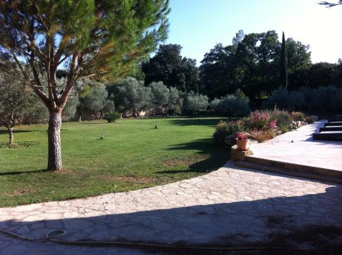 a park with a tree and a grass field at Le carpe noctem suite de charme avec jacuzzi privé in Sérignan-du-Comtat