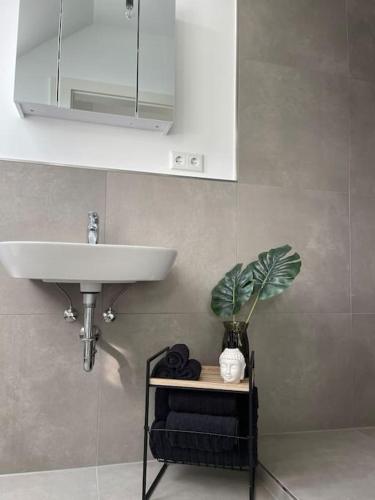 een badkamer met een wastafel en een plant op een plank bij Frühlingsfrische Wohnung in Mönchengladbach