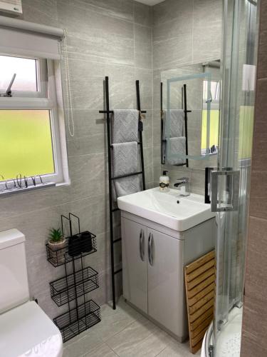 uma casa de banho com um lavatório, um chuveiro e um WC. em SNOWDON LODGE Luxury Lodge Glan Gwna Holiday Park Caeathro Caernarfon Near Snowdonia em Caernarfon
