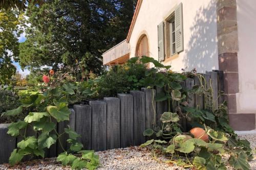 Κήπος έξω από το Gite avec mezzanine le Clos des Sœurs