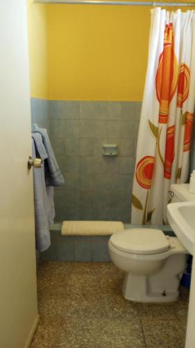 a bathroom with a toilet and a shower curtain at Casa Sylvie in Sosúa