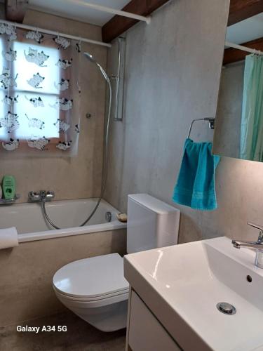 埃門坦的住宿－Afrika Zimmer mit Bergblick，浴室配有卫生间、浴缸和水槽。