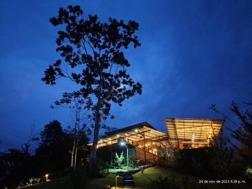 a house lit up at night with a tree at Hotel Finca Maresia in Drake