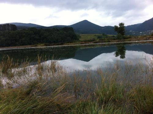 a lake with a reflection of a tree in the water at Hotel Boliña in Guernica y Luno