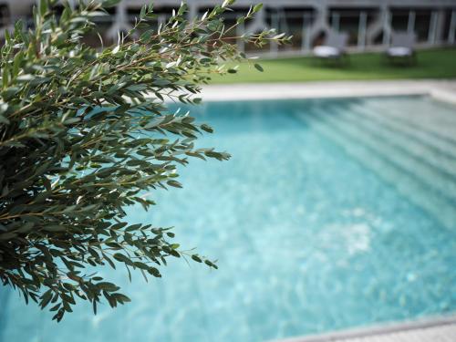 a blue swimming pool with a tree in the foreground at Qgat Restaurant Events & Hotel in Sant Cugat del Vallès