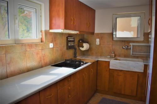 A kitchen or kitchenette at Dolichi House