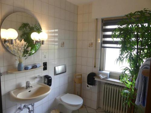 a bathroom with a sink and a toilet and a mirror at Hotel Engelskirchen in Engelskirchen