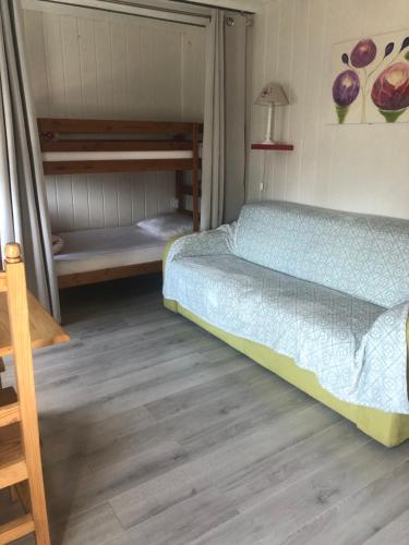 een slaapkamer met een bed en 2 stapelbedden bij Le Petit Chalet in La Châtelaine