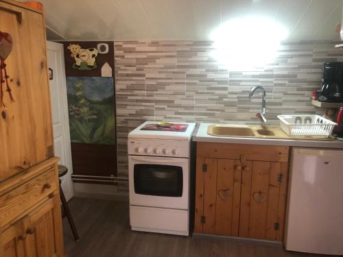 Il comprend une cuisine équipée d'une cuisinière blanche et d'un évier. dans l'établissement Le Petit Chalet, à La Châtelaine