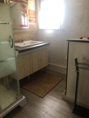 een badkamer met een wastafel, een spiegel en een tapijt bij Le Petit Chalet in La Châtelaine