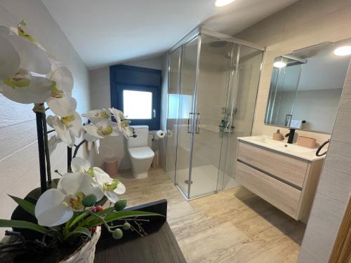 La salle de bains est pourvue d'une douche, de toilettes et d'un lavabo. dans l'établissement Apartamentos Montejurra, à Ayegui
