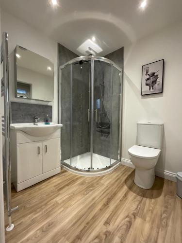 a bathroom with a shower and a toilet and a sink at The Court Yard Apartment in Cheddar