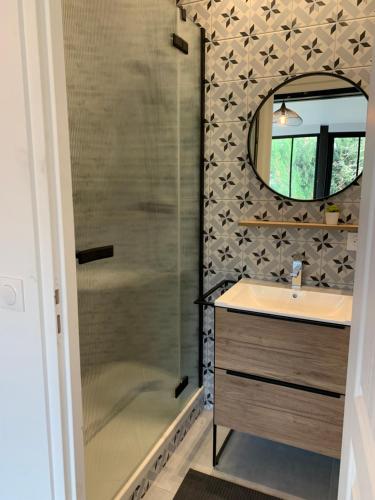 une salle de bain avec une douche, un lavabo et un miroir dans l'établissement VILLA GABI, à Juvisy-sur-Orge